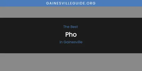 The Absolute Best Pho in Gainesville
